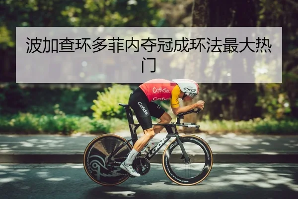 bo-jia-cha-huan-duo-fei-nei-duo-guan-cheng-huan-fa-zui-da-re-men-3-499.jpg